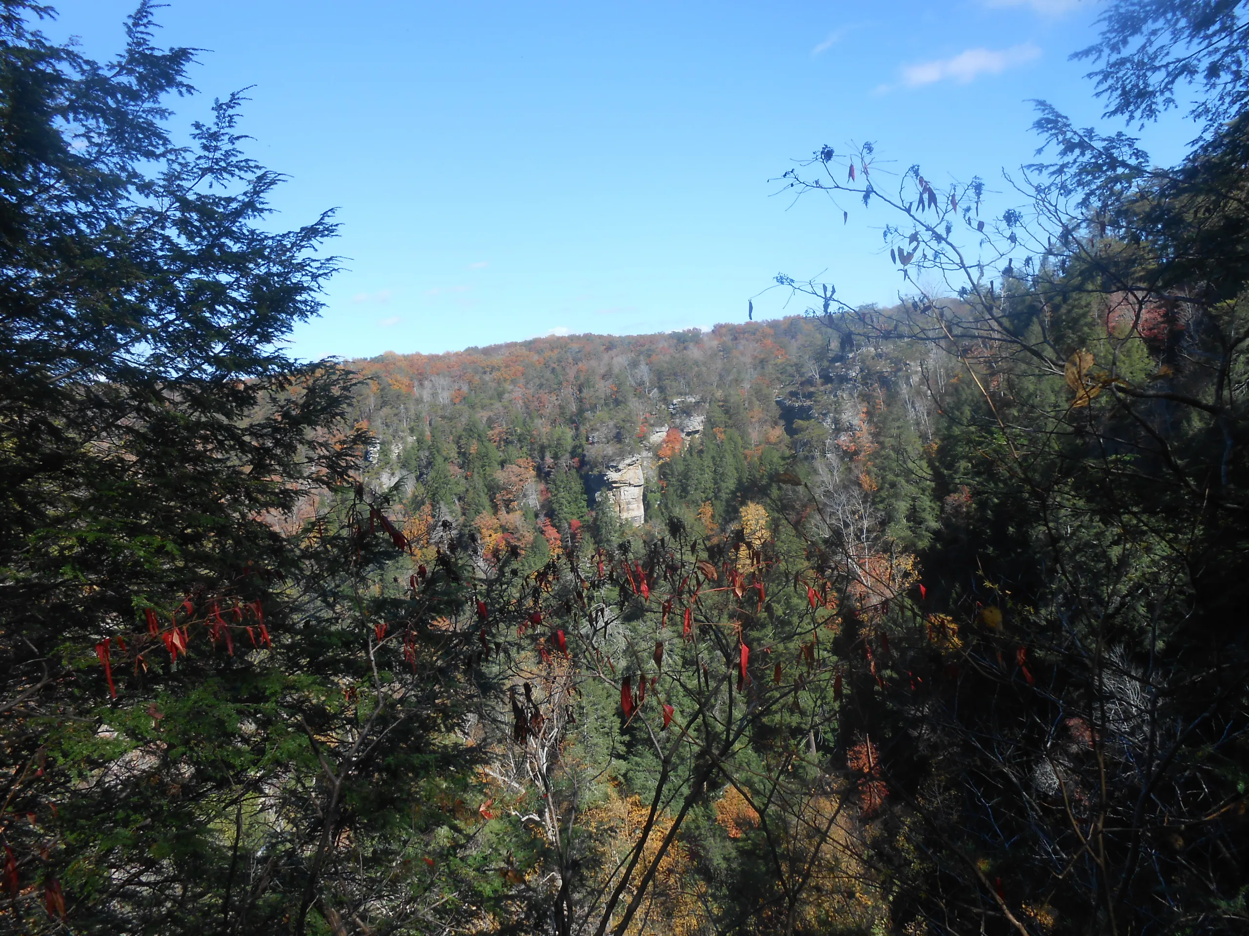 sparta tn cabin rentals